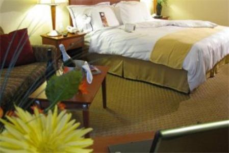 Charleston Airport Hotel North Charleston Room photo